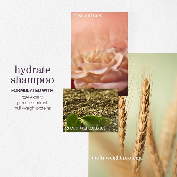 Pureology Pureology Hydrate Shampoo 266ml Negozi Online