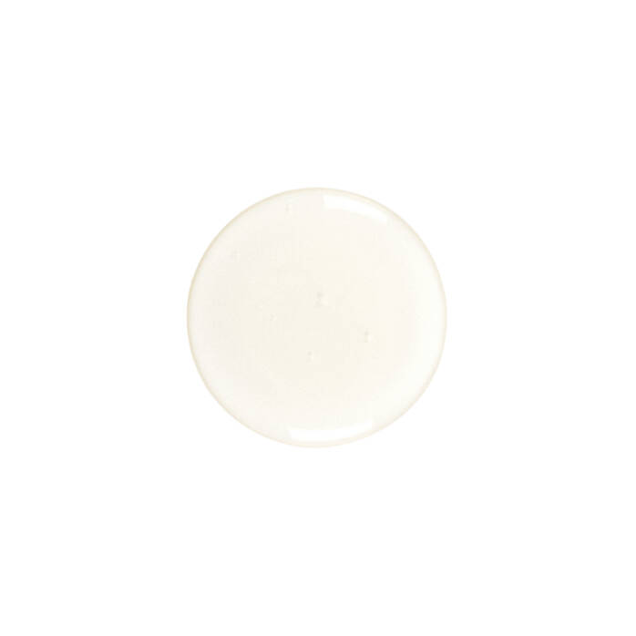 Kiehls Rice wheat volumizing shampoo 2025