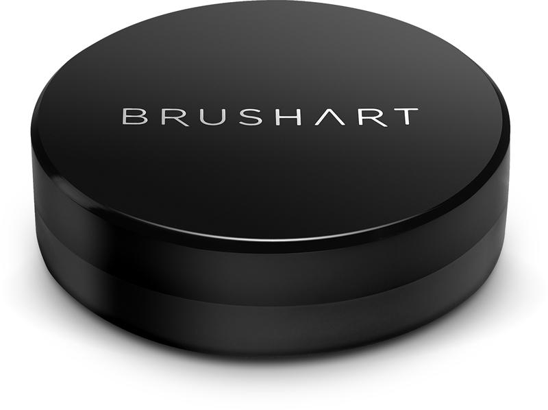 BrushArt BrushArt Professional Brush cleaning sponge Spugna per pulizia a secco Vendite stagionali