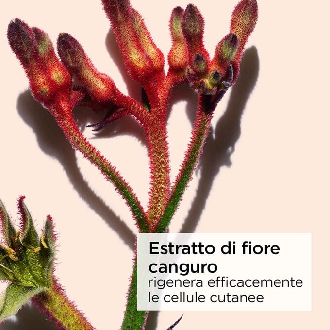 Clarins Extra-Firming Crema Antirughe Tutti i tipi di pelle Italy