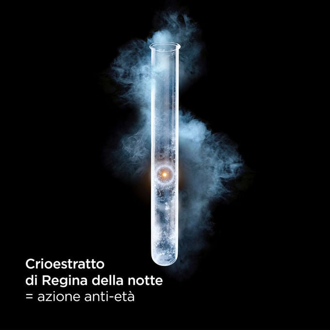 Clarins La Crème Riche Negozi Online